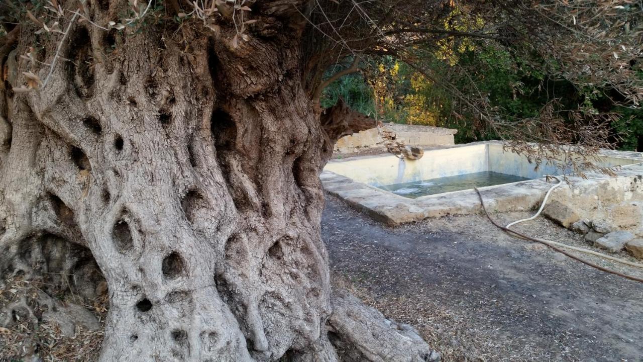 La Villa Di Minerva Agrigento Eksteriør billede