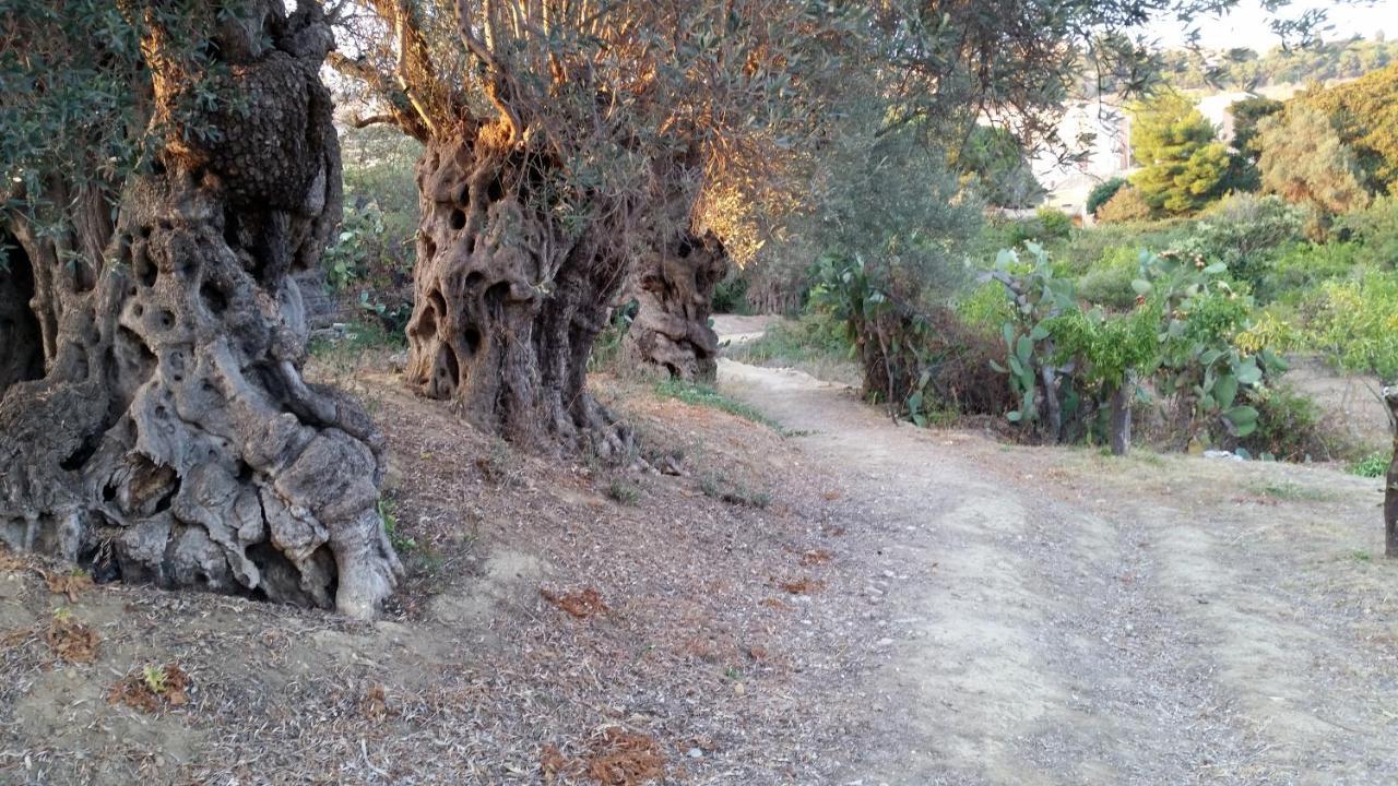 La Villa Di Minerva Agrigento Eksteriør billede