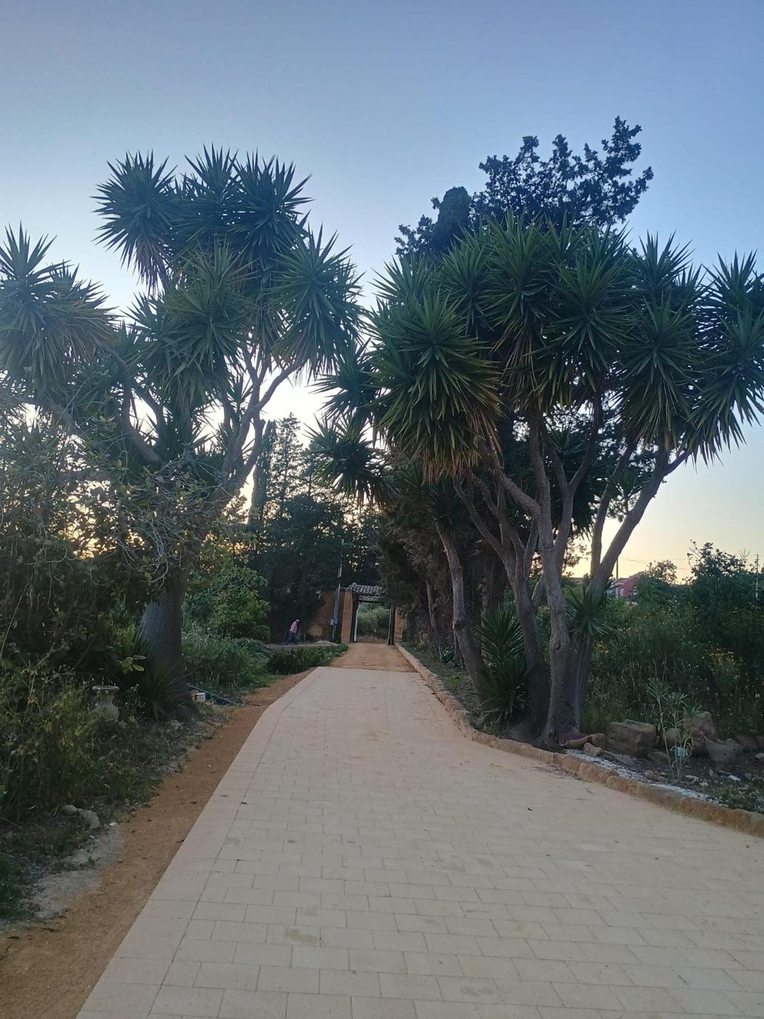La Villa Di Minerva Agrigento Eksteriør billede